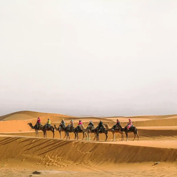 Circuit Marrakech 5 Jours vers Merzouga