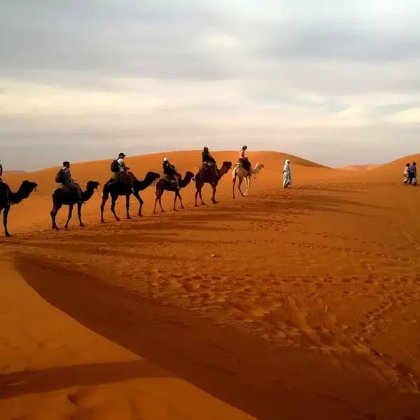 Circuit Sud Marocain 7 Jours depuis Marrakech