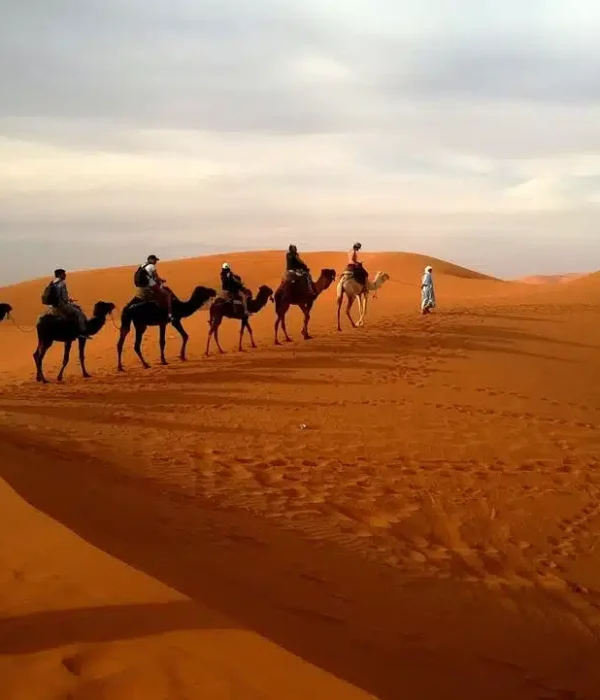Circuit Sud Marocain 7 Jours depuis Marrakech