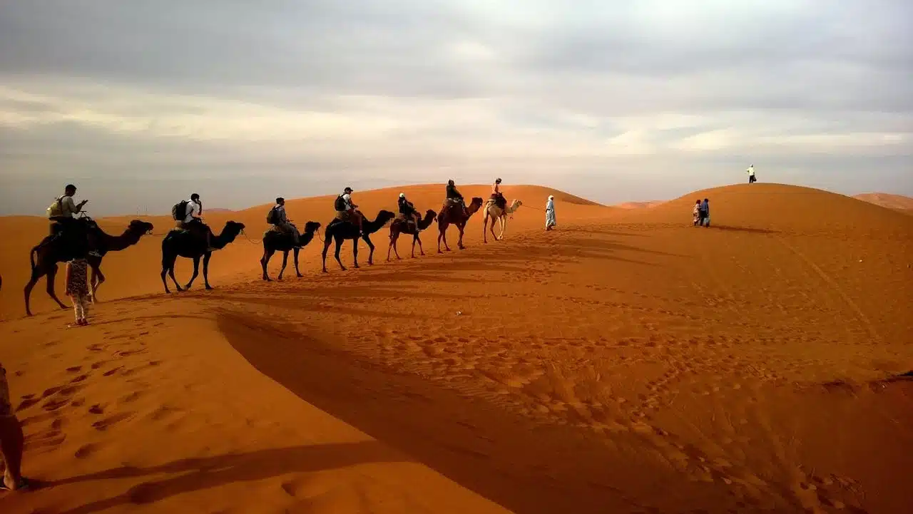 Circuit Sud Marocain 7 Jours depuis Marrakech