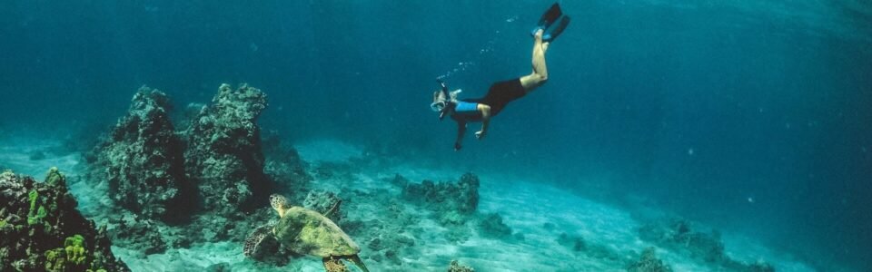 Scuba Diving Charter in  Boyton Beach