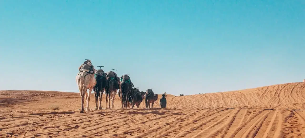 Trek Désert Maroc 4 Jours de Marrakech à Fès
