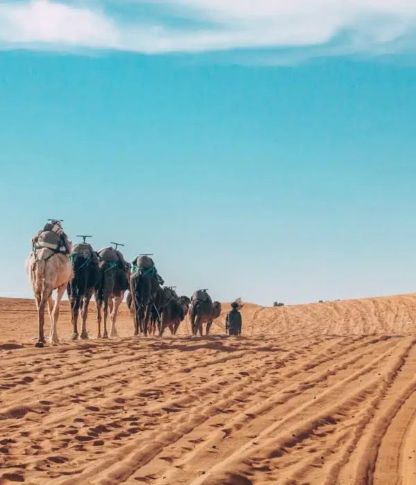 Trek Désert Maroc 4 Jours de Marrakech à Fès