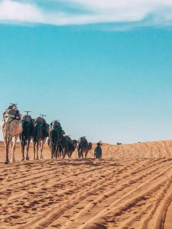 Trek Désert Maroc 4 Jours de Marrakech à Fès