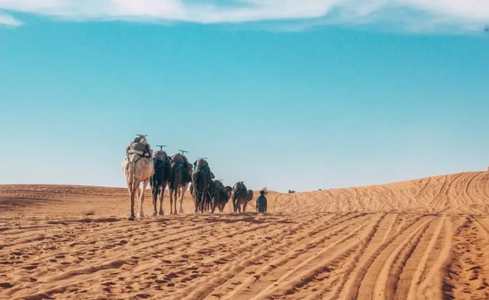 Trek Désert Maroc 4 Jours de Marrakech à Fès