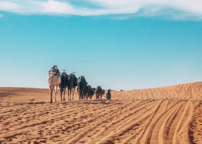 Trek Désert Maroc 4 Jours de Marrakech à Fès