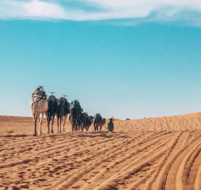Trek Désert Maroc 4 Jours de Marrakech à Fès