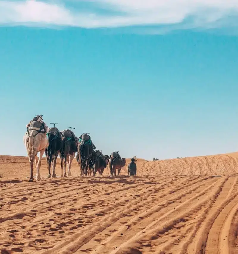 Trek Désert Maroc 4 Jours de Marrakech à Fès