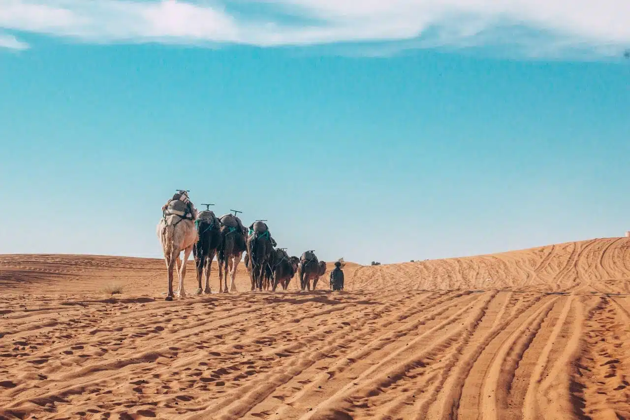 Trek Désert Maroc 4 Jours de Marrakech à Fès