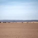 Circuit 4x4 Sud Maroc 6 jours
