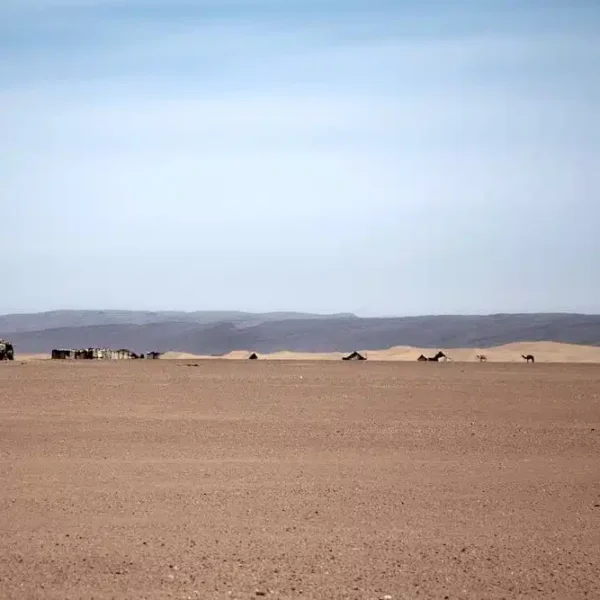 Circuit 4x4 Sud Maroc 6 jours