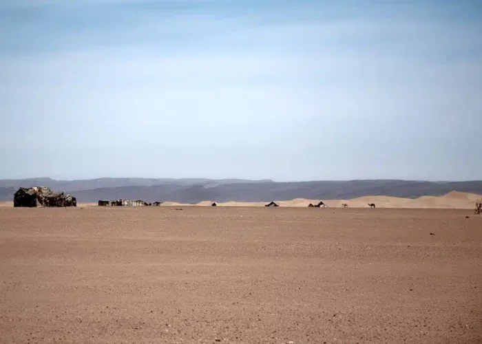 Circuit 4x4 Sud Maroc 6 jours